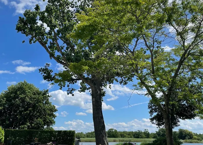 Restaurant-hotel De Watergeus 3* Noorden