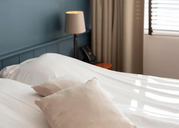 فندق Restaurant-hotel De Watergeus 3*